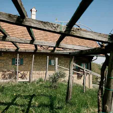 Weingut Bleyweis Апартаменты Китцекк-им-Заузаль